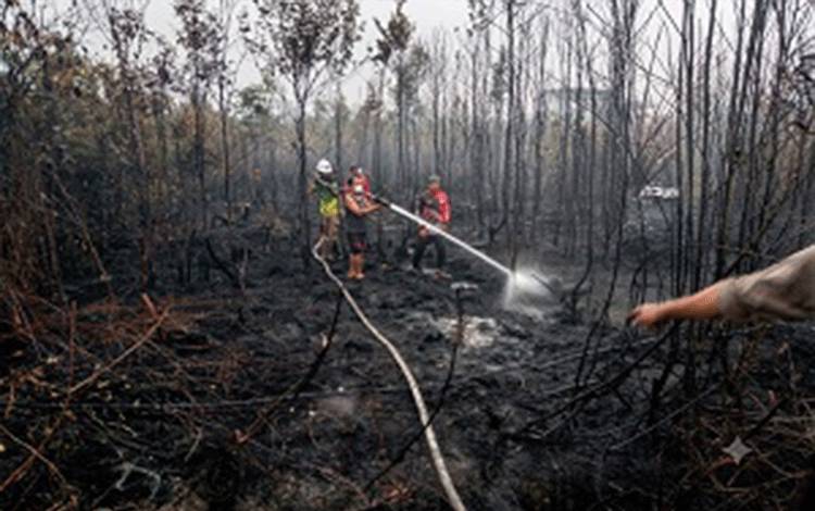 Api Bakar Setengah Hektare Lahan Gambut di Bambulung Bartim