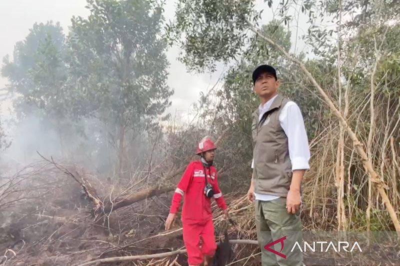 Menhut: Prabowo Terus Pantau Penanganan Karhutla di Kalimantan, Hotspot Mulai Menurun