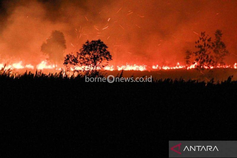 Polda Kalteng Tangani 19 Kasus Karhutla, 23 Orang Jadi Tersangka