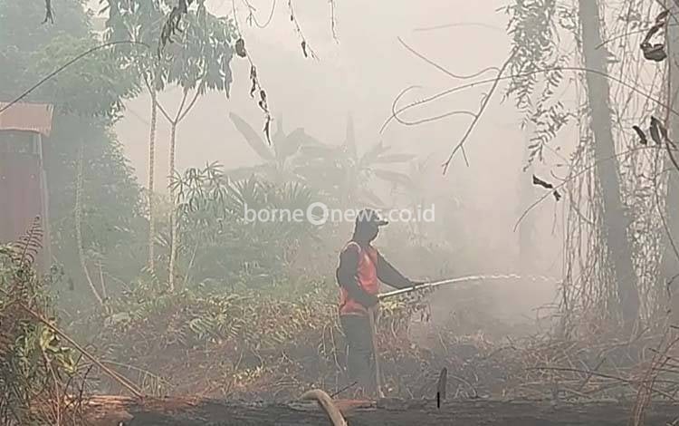 422 Kali Karhutla 484,46 Hektare Lahan Terbakar di Palangka Raya