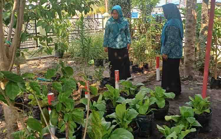 Ketua TP-PKK Kotim Tinjau Kebun PKK Mentawa Baru Hulu