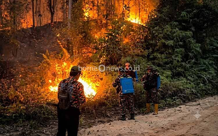 Karhutla Ampari Bura-Lalap Capai 20 Hektare, Tim Gabungan Berjibaku Kendalikan Api