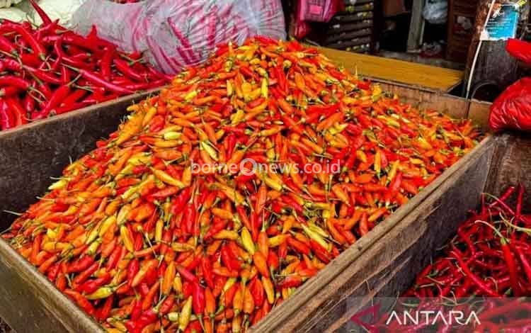 Harga Cabai Rawit Merah Tembus Rp82.700 per Kg, Telur Ayam Rp29.650