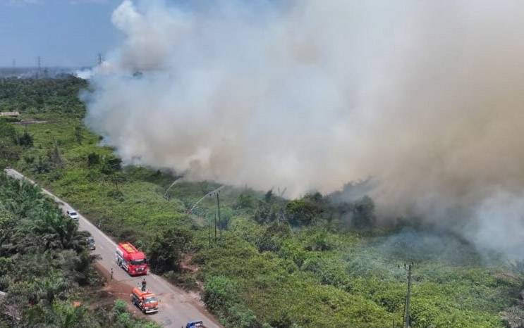 Titik Api Mulai Landai, BPBD Kobar Fokus Pemadaman di KM 15 Pangkalan Bun-Kolam dan Tanjung Putri