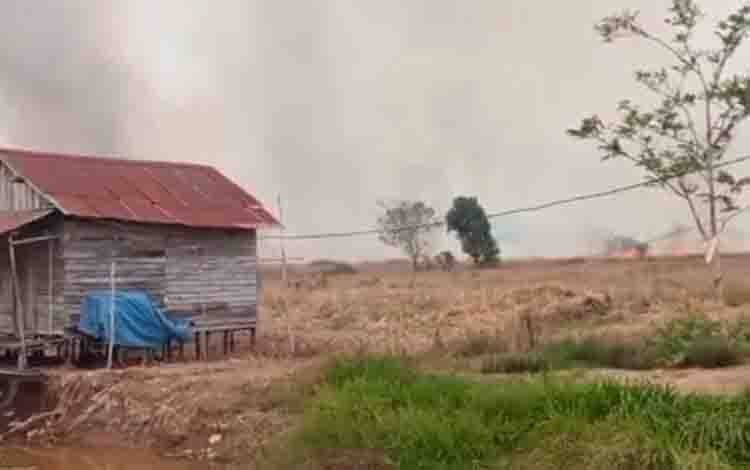 Karhutla Dekati Permukiman dan Jaringan Listrik di Mambulau Kapuas