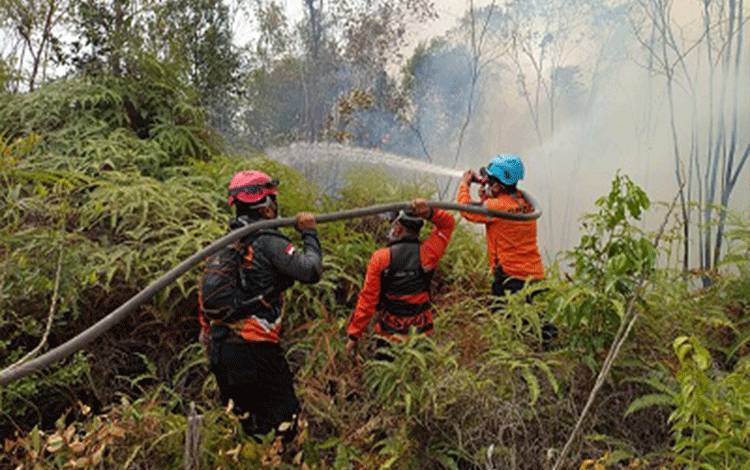Gambut Dalam dan Angin Kencang Jadi Tantangan, Tim Gabungan Jinakkan Karhutla Pulau Patai Bartim