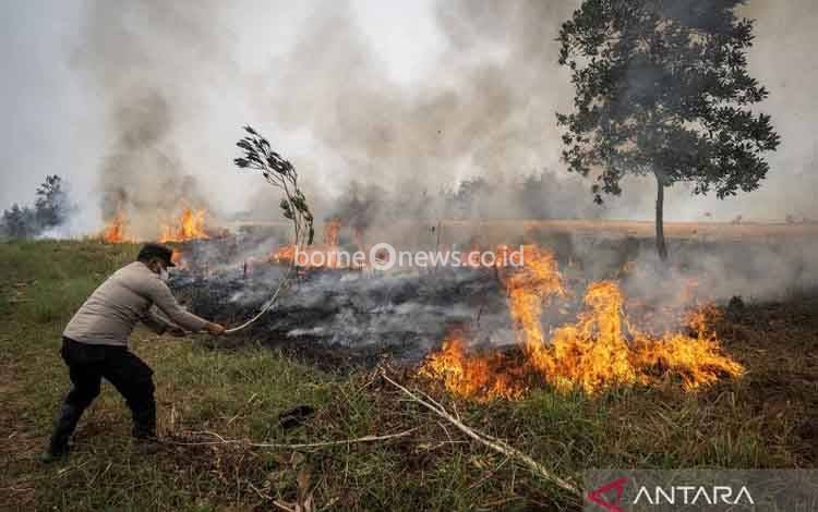 Kemenhut Klaim Perkuat Deteksi Dini, Ground Check dan Water Bombing Atasi Karhutla Kalteng