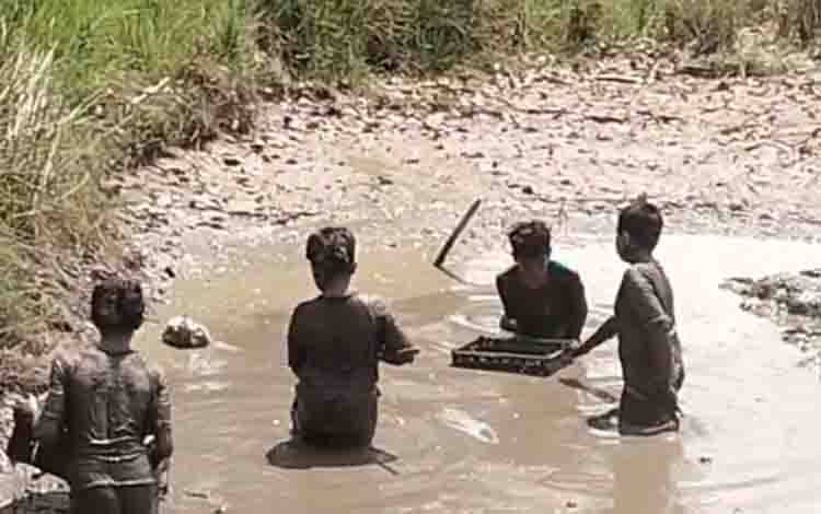 Berkah di Balik Surutnya Air: Cerita Anak-Anak Pemburu Ikan di Tengah Kemarau Kapuas