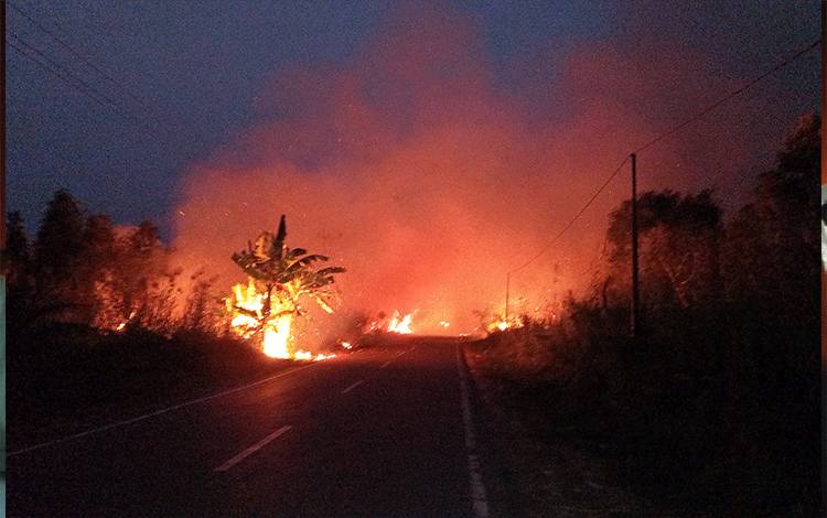Karhutla Melalap Lahan di Jalan Poros Muara Dadahup Kapuas, Api Mengancam Akses Jalan