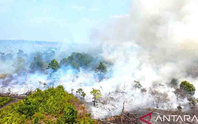 Menhut: Pemerintah Andalkan Operasi Darat Tangani Karhutla Gambut