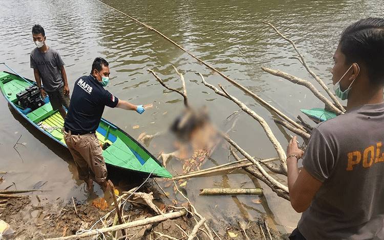 Lansia 73 Tahun Ditemukan Meninggal di Sungai Lamandau Setelah 3 Hari Dilaporkan Hilang