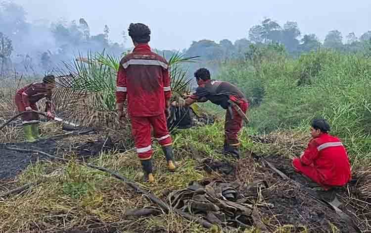 Karhutla Kupang Bersih Barito Timur Capai 30 Hektare, Api Membakar Permukaan hingga Lapisan Gambut
