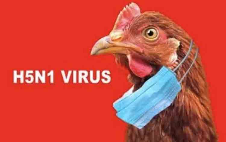 Uruguay Tetapkan Status Darurat Kesehatan Akibat Flu Burung