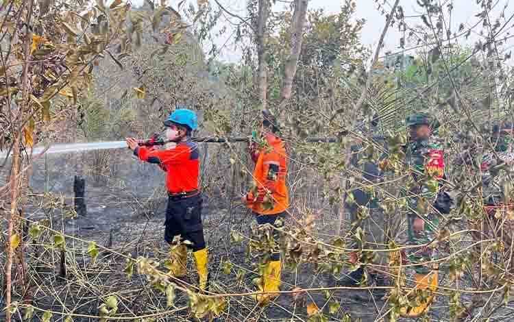 Tim Gabungan Kerahkan Mesin Jinjing dan Tangki Air Padamkan Karhutla di Bamban Barito Timur