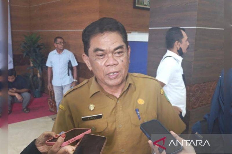 Wakil Koordinator III Satuan Tugas Karhutla Kotim Rihel. (ANTARA/Devita Maulina)