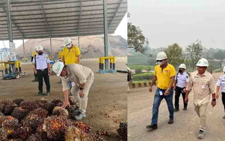 Pemkab Barito Utara Dorong Pengembangan Industri Kelapa Sawit dan Rotan Berbasis Nilai Tambah