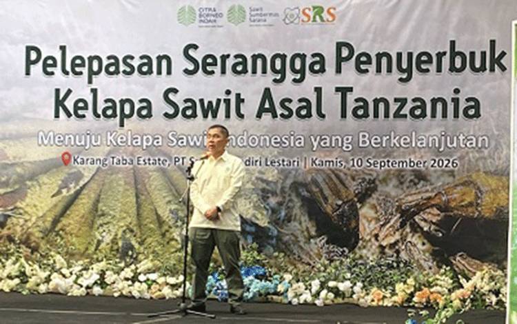 PT SSMS Tbk Lepas 8.000 Serangga Penyerbuk Kelapa Sawit Asal Tanzania