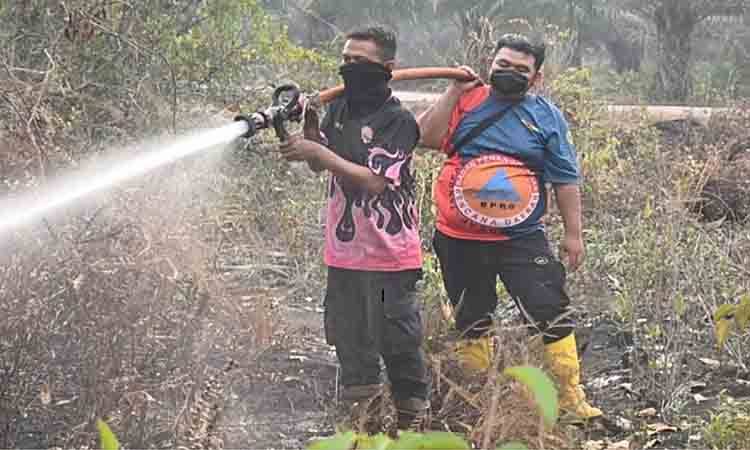 488 Kejadian dan 1.034 Hektare Lahan Terbakar Selama Status Tanggap Darurat Karhutla Palangka Raya