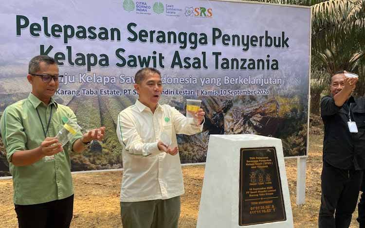 Serangga Penyerbuk dari Tanzania Dilepas, SSMS Bidik Peningkatan Produktivitas Sawit