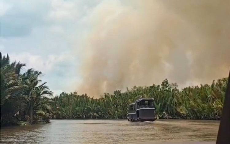 TNTP yang Terbakar Merupakan Habitat Penting bagi Populasi Orangutan