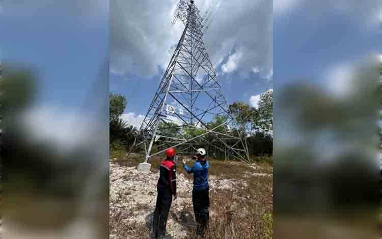 PLN: Infrastruktur Kelistrikan Pangkalan Bun Penuhi Aspek Lingkungan