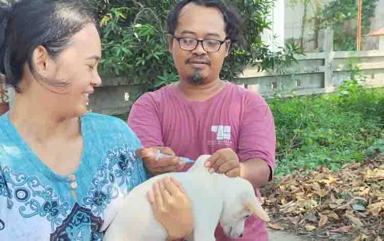 3.000 dari 8.000 HPR di Palangka Raya Sudah Divaksin Rabies