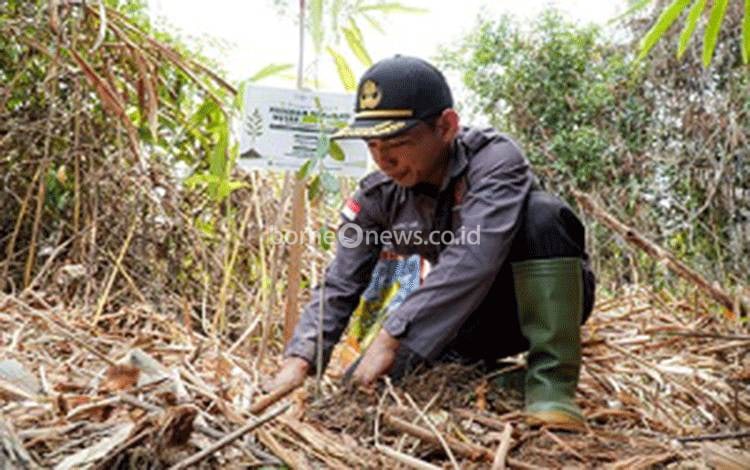 Lurah Mendawai Minta Warga Ikut Merawat Pohon Program Reboisasi SSMS