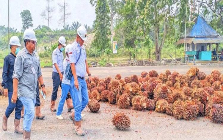 Disdagrin Barito Utara Perkuat Monitoring Industri Sawit