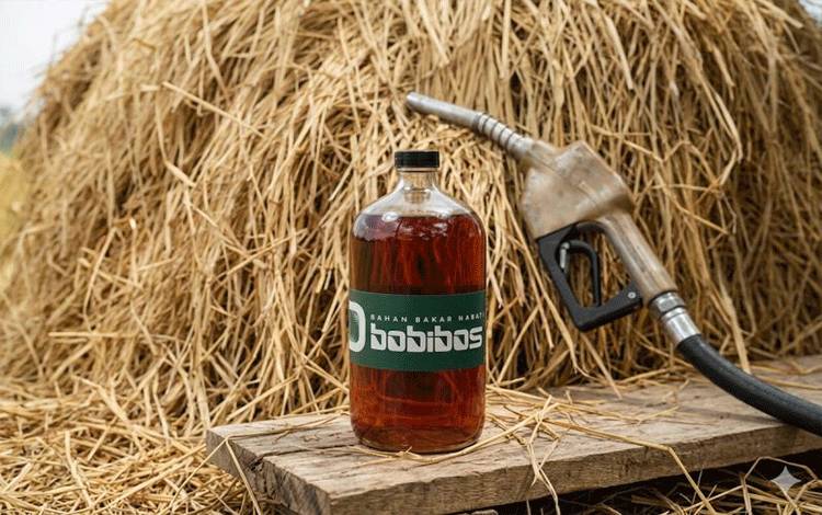 Bobibos. (ANTARA/HO-ESDM)