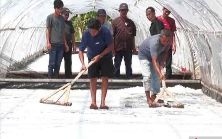 Garam Sebubus jadi Andalan Swasembada Garam Nasional