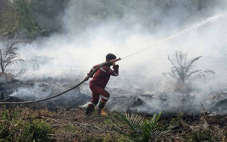 Ancaman Karhutla Belum Surut, Barito Timur Catat 465 Kejadian dan 667,9 Hektare Terbakar