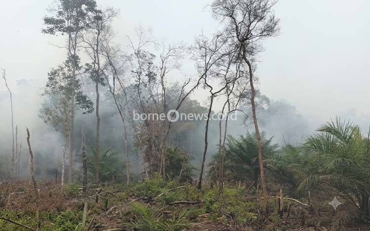 ISPA Capai 1.360 Jiwa, Kabut Asap Mulai Ganggu Aktivitas Warga Barito Timur