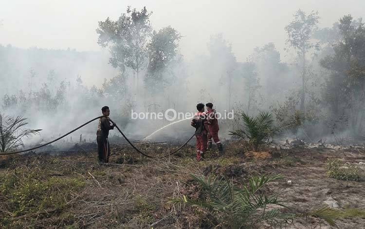Karhutla 1 Hektare di Siong Barito Timur Berhasil Dikendalikan dalam 2 Jam