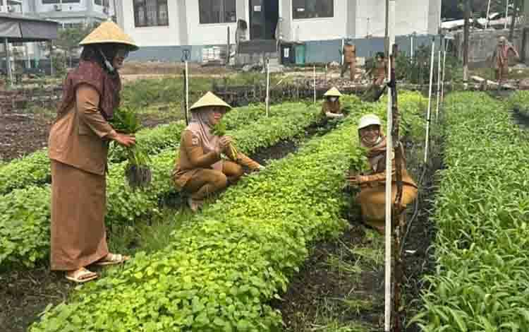 Ketua GOW Palangka Raya Tekankan Pentingnya Kemandirian Pangan Keluarga