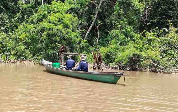 Jaga Hutan, Masyarakat Masoraian Terima Insentif Rp30,8 Juta per Bulan