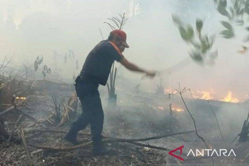 Kalteng Masuk Enam Provinsi Prioritas, BNPB Masifkan Penanganan Karhutla hingga Daerah Lain