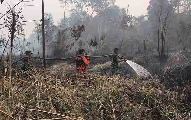 Karhutla di Lahan Gambut Pulau Patai Terbakar, Tim Gabungan Berjuang Jangkau Titik Api