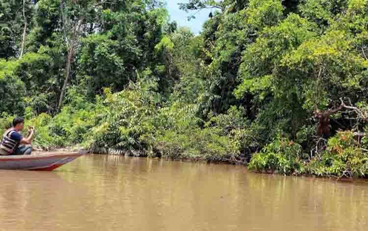 Hutan dan Danau Tak Bisa Dipisahkan dalam Menjaga Ekosistem