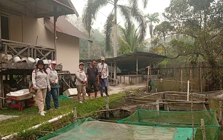 Dinas Perikanan Palangka Raya Lakukan Pendataan Produksi Pembenihan di Bukit Batu