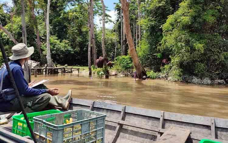 Ekonomi Lokal Jadi Kunci Keberlanjutan Konservasi