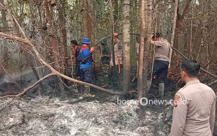 712 Hektare Lahan Terbakar, Karhutla Barito Timur Capai 485 Kejadian