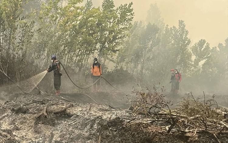 Satgas Karhutla Kalteng Padamkan 112,43 Hektare Lahan