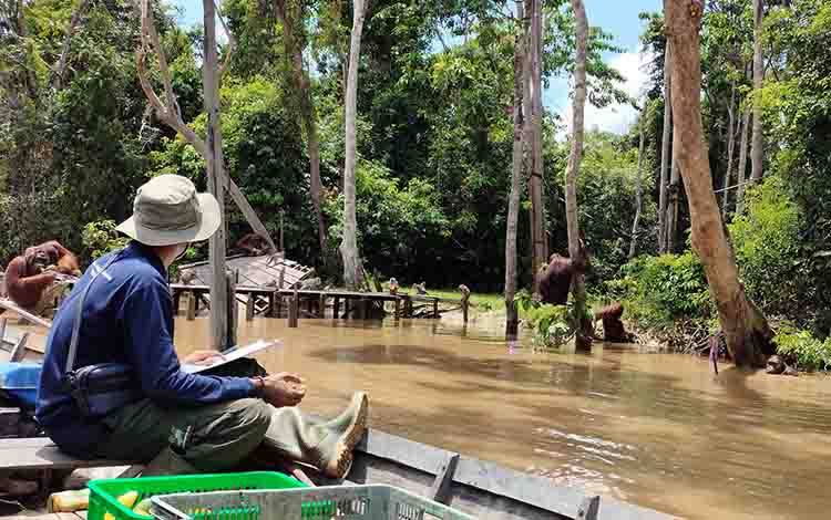 Dunia Usaha Dinilai Punya Peran dalam Menjaga Hutan