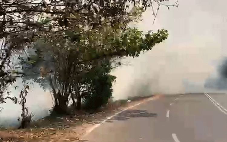 Kabut Asap Tebal Ganggu Pengguna Jalan di Jalan Pemuda Km 3 Kuala Kapuas
