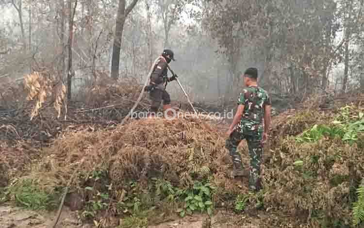608 Kejadian Karhutla di Palangka Raya, Luas Terbakar Capai 1.265,59 Hektare