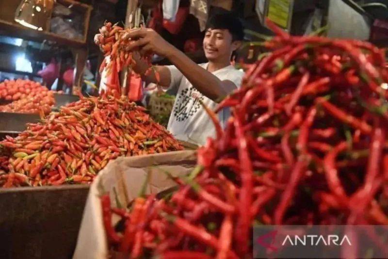 Cabai Rawit Merah Tembus Rp95.000 per Kg, Telur Ayam Rp30.000