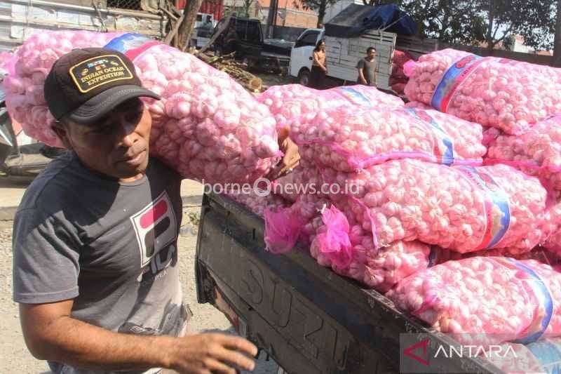 Menapak Jalan Swasembada Bawang Putih