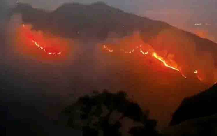 TNGR: Luas Kebakaran Lahan di Gunung Rinjani Mencapai 589 Hektare
