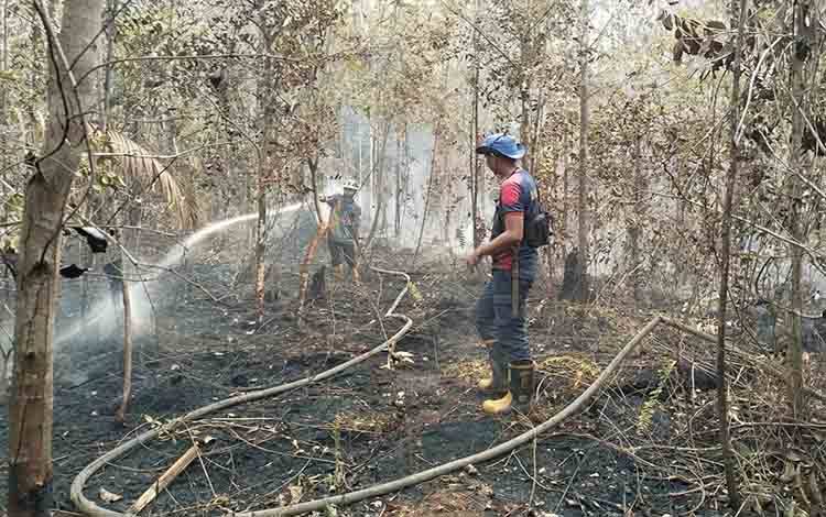 Karhutla di Ampah Kota Capai 1 Hektare, Angin Kencang Hambat Pemadaman
