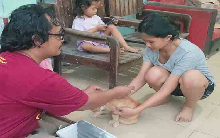 Bukan Sekadar Vaksinasi, World Rabies Day Jadi Momentum Edukasi Pemilik Hewan